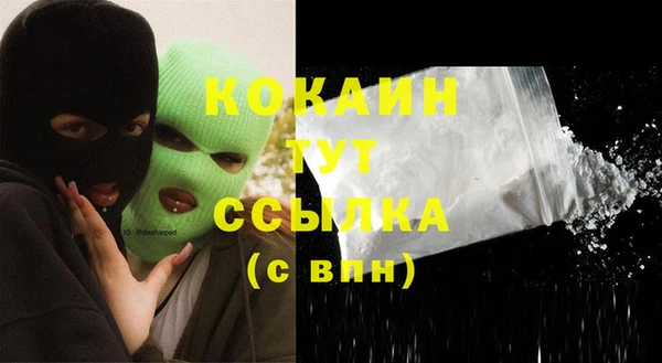 дживик Лагань