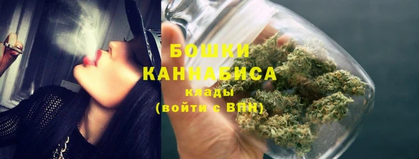 дживик Лагань