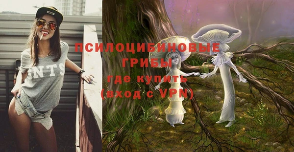 соль ск Ладушкин
