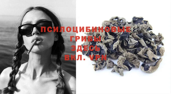 соль ск Ладушкин