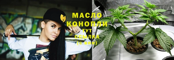 дживик Лагань