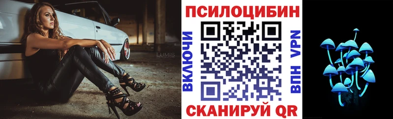 Псилоцибиновые грибы GOLDEN TEACHER  Купить  Западная Двина 
